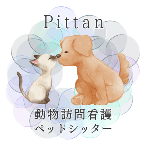 動物訪問看護・ペットシッターサービス「Pittan」